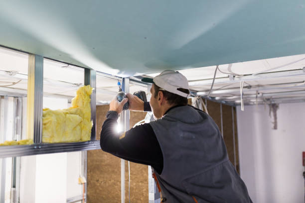Best Blown-in Insulation in Great Falls Crossing, VA