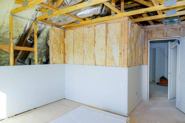 Best Eco-Friendly Insulation in Great Falls Crossing, VA